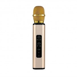 Wireless Microphone Karaoke Double Horn Bluetooth Handheld Portable Speaker Home KTV Player Echo-type Sound Adjustment Live
