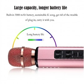 Wireless Microphone Karaoke Double Horn Bluetooth Handheld Portable Speaker Home KTV Player Echo-type Sound Adjustment Live
